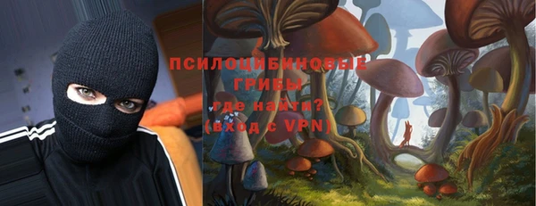 прущая мука Коряжма