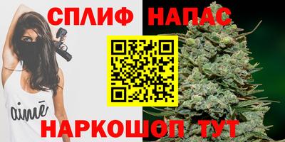 a pvp Беслан