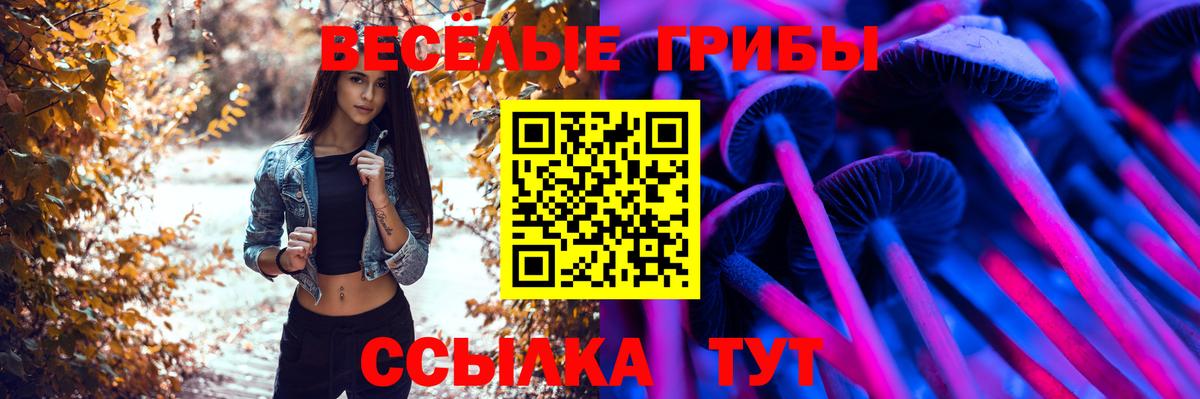 МДМА  ГАШИШ  Кокаин  Вход с VPN  A-PVP СОЛЬ   Канабис  Каменск-Шахтинский  МЕФ  
