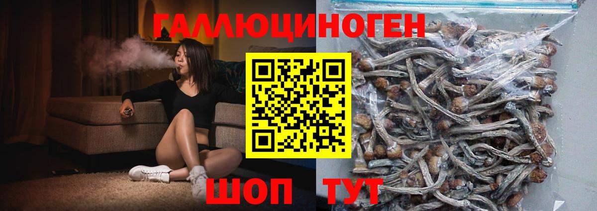 Галлюциногенные грибы MAGIC MUSHROOMS  Вход с VPN  Каменск-Шахтинский 